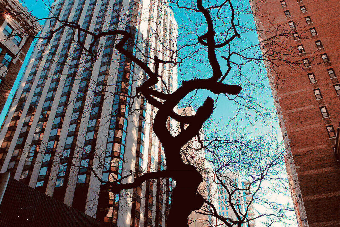 Landscapes